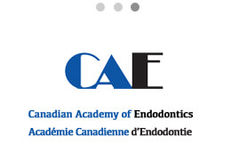 Canadian academy of endodontics logo
